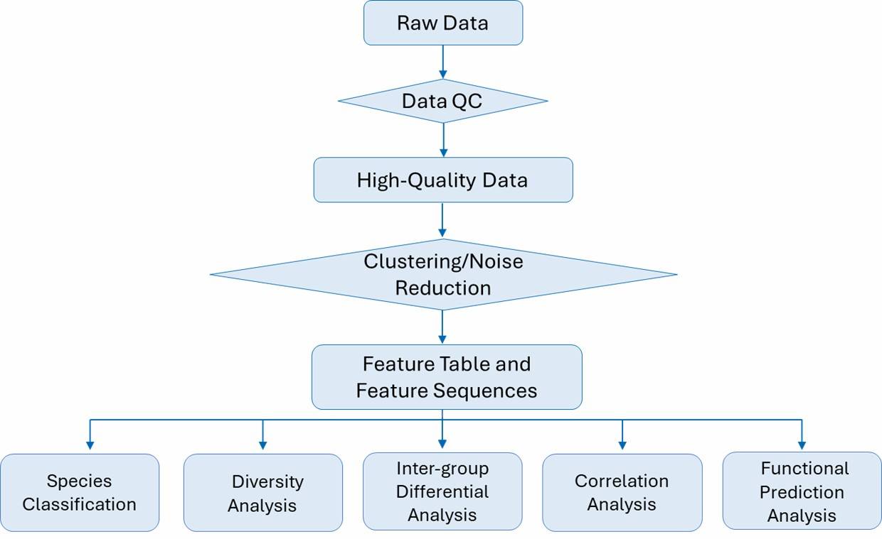 The Workflow of Antibiotic Resistance Genes (ARGs) Analysis Solution.
